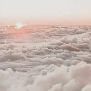 Meet your Posher, Jade